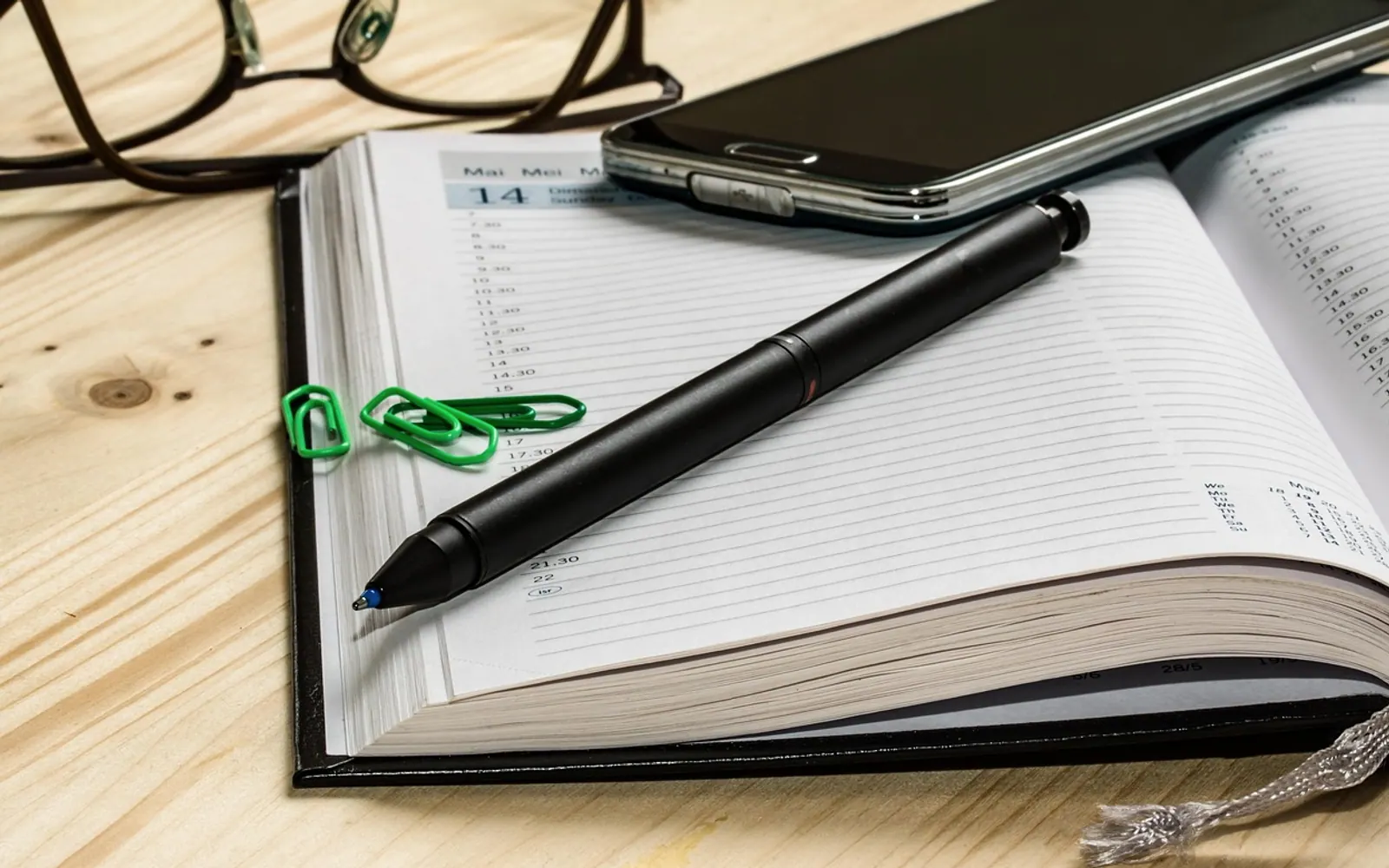 Agenda, appointment calendar and pen