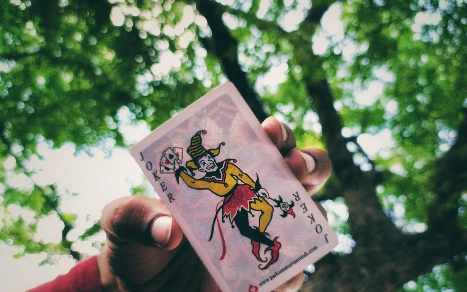 Joker, nature and card game